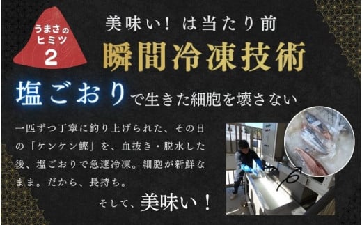 すさみケンケン鰹のたたき 約500g～600g カツオ かつお 刺身 タタキ 天然 初ガツオ 初鰹【scp001A】