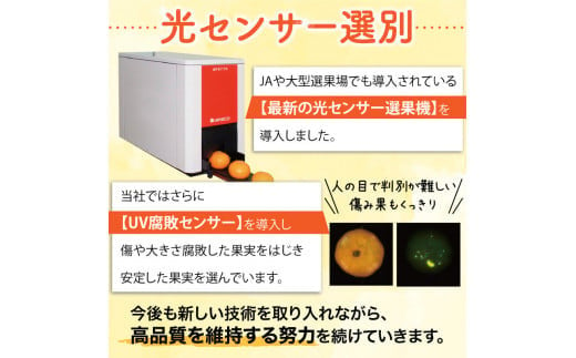 【訳あり】3S ちっちゃな有田みかん 5kg ※2024年11月中旬から順次発送予定（お届け日指定不可）※北海道・沖縄・離島への配送不可 訳ありみかん みかん ミカン 蜜柑 柑橘 フルーツ 果物 くだもの 温州みかん 柑橘 有田【nuk163】