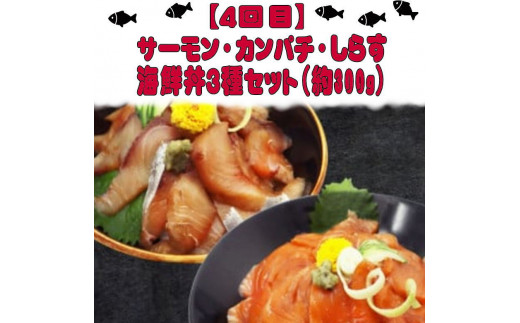 【全4回】魚鶴一押し！人気のお魚集合定期便（さば・銀鮭・うなぎ・海鮮丼）