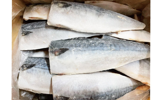 塩さばフィレ 8枚入（真空パック入）/さば サバ 鯖 フィレ 切り身 切身 魚 海鮮 焼き魚 おかず 