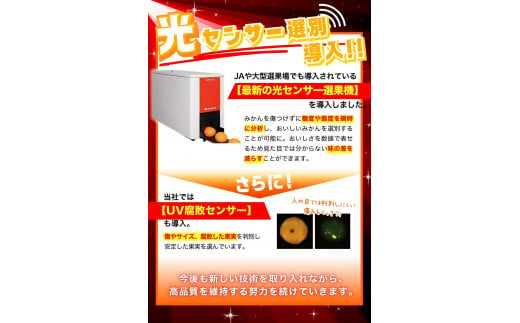 【2024年11月発送予約分】＼光センサー選別／ 【農家直送】【家庭用】こだわりの有田みかん 約6kg＋250g(傷み補償分) 先行予約 有機質肥料100% サイズ混合 【11月発送】みかん ミカン 有田みかん 温州みかん 柑橘 有田 和歌山 ※北海道・沖縄・離島配送不可 【nuk102-1】