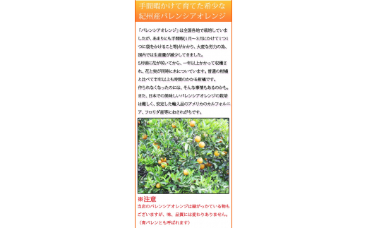 秀品　希少な国産バレンシアオレンジ　2.5kg　※2025年6月下旬頃～2025年7月上旬頃順次発送（お届け日指定不可）【uot752】