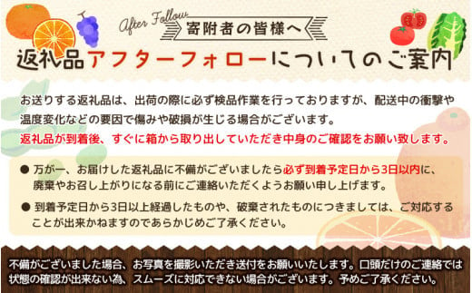 【全3回】紀州和歌山産旬のフルーツセット(巨峰・ひらたね・みかん)  / 果物定期便 フルーツ定期便 みかん オレンジ 柑橘 くだもの 果物 かき カキ ぶどう 巨峰 【tkb397】