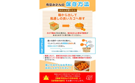 【2024年11月発送予約分】＼光センサー選別／ 【農家直送】【家庭用】こだわりの有田みかん 約6kg＋250g(傷み補償分) 先行予約 有機質肥料100% サイズ混合 【11月発送】みかん ミカン 有田みかん 温州みかん 柑橘 有田 和歌山 ※北海道・沖縄・離島配送不可 【nuk102-1】