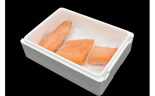 タスマニア産サーモンブロック 3ブロック 合計600g サーモン 鮭 さけ 刺身  さしみ 冷凍 オーストラリア産【nks701A】