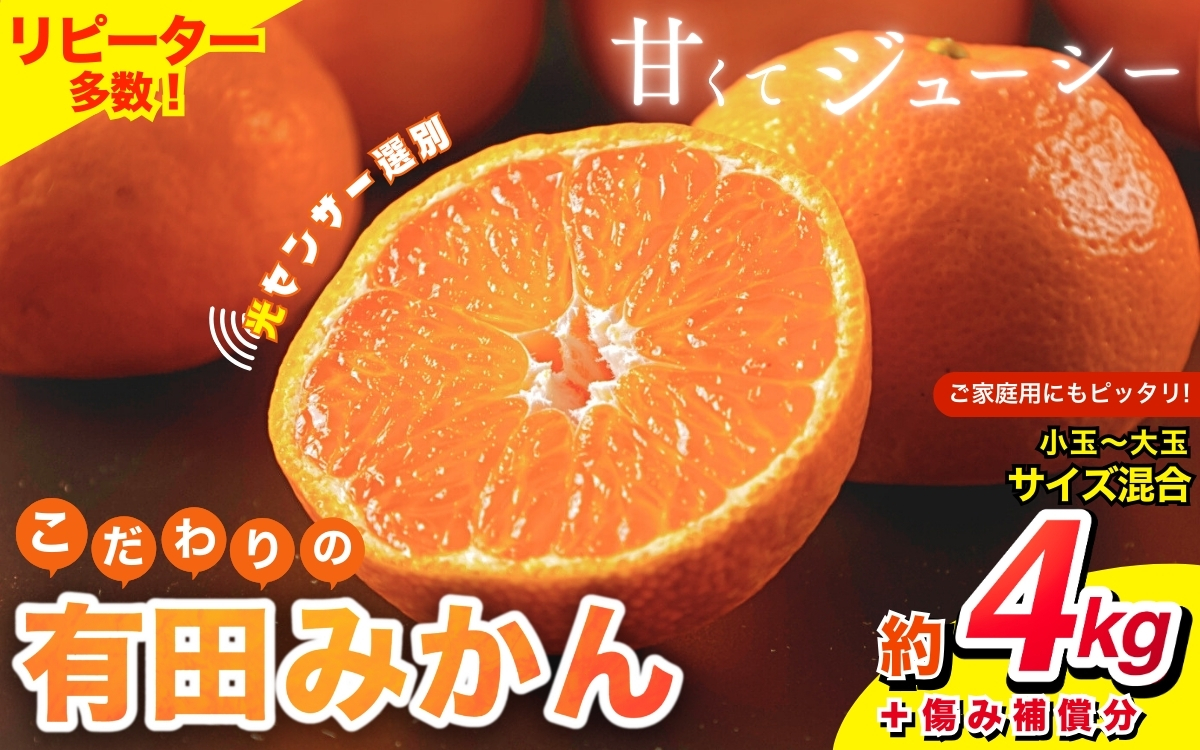 【2025年1月発送予約分】＼光センサー選別／ 【農家直送】【家庭用】こだわりの有田みかん 約4kg＋120g(傷み補償分)  先行予約 有機質肥料100% サイズ混合 【1月発送】※北海道・沖縄・離島配送不可