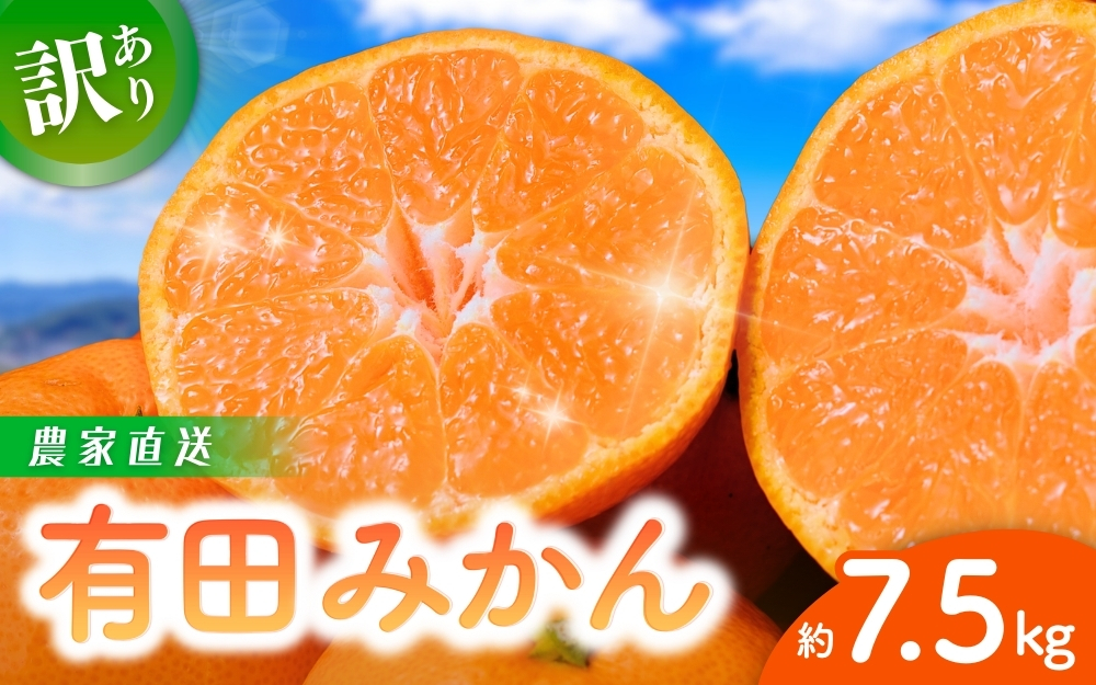 [訳あり]農家直送 有田みかん 約7.5kg ご家庭用 サイズ混合 ※2024年11月中旬2025年1月中旬までに順次発送予定(お届け日指定不可)※北海道・沖縄・離島への配送不可訳あり 訳あり 温州みかん 有機質肥料100% [nuk157B]