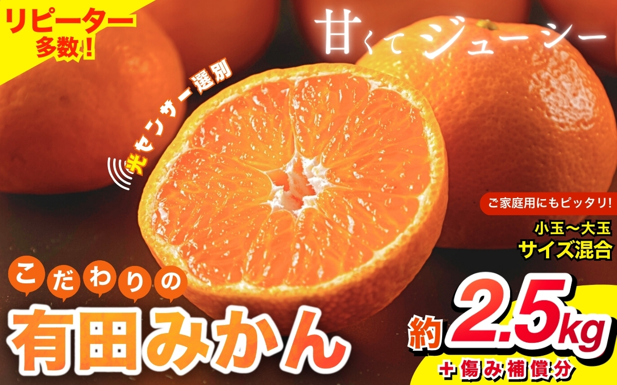 【2025年1月発送】【家庭用】こだわりの有田みかん 約2.5kg＋75g(傷み補償分)   ※北海道・沖縄・離島配送不可 有田みかん 温州みかん 柑橘【nuk159-3A】