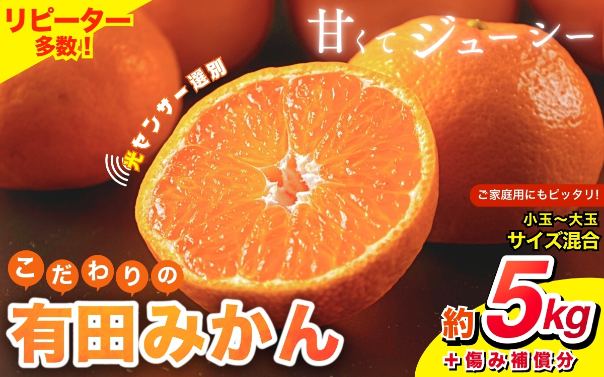 【2024年11月発送予約分】 【農家直送】【家庭用】こだわりの有田みかん 約5kg＋150g(傷み補償分) 有機質肥料100% サイズ混合  ※北海道・沖縄・離島配送不可/みかん ミカン 有田みかん 温州みかん 柑橘 有田 和歌山 【nuk160-1】