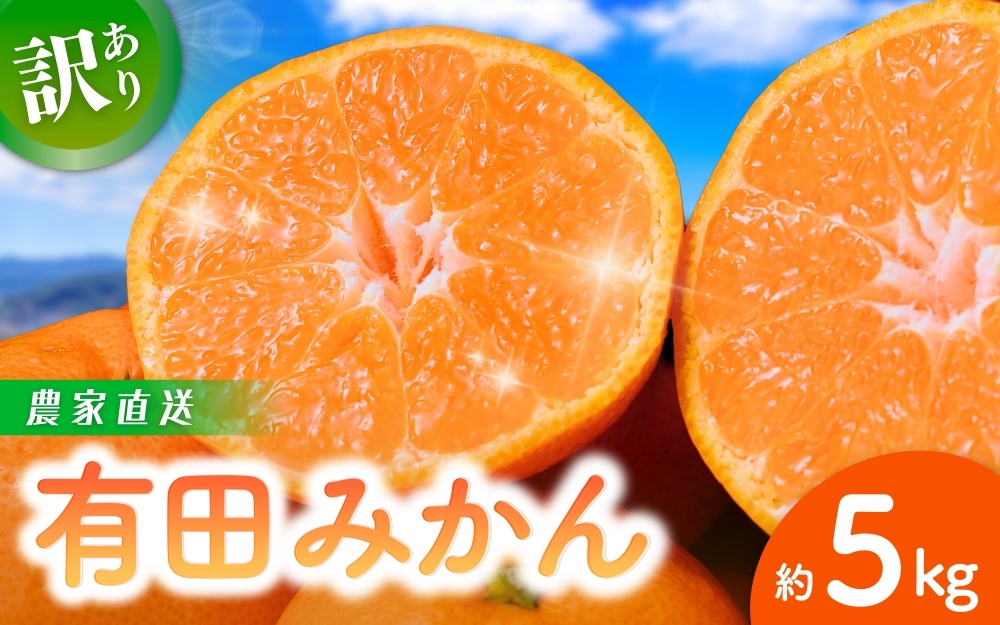 [訳あり]農家直送 有田みかん 約5kg ご家庭用 サイズ混合 ※2024年11月中旬から2025年1月中旬までに順次発送予定(お届け日指定不可)※北海道・沖縄・離島配送不可 サイズ混合 訳あり 温州みかん 柑橘 有田 [nuk161A]