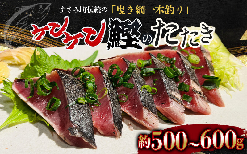 すさみケンケン鰹のたたき 約500g～600g カツオ かつお 刺身 タタキ 天然 初ガツオ 初鰹【scp001A】