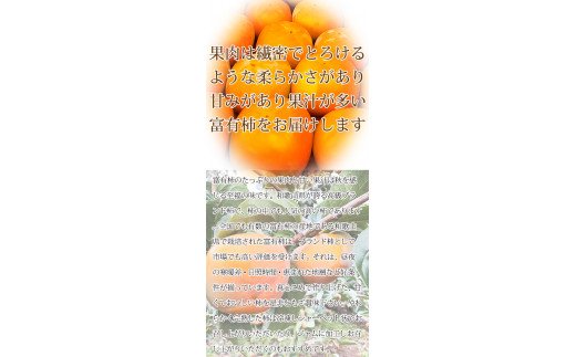 【ご家庭用わけあり】和歌山秋の味覚　富有柿　約3.5kg　※2024年11月上旬頃〜2024年11月下旬頃順次発送