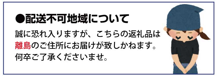 紀州かつらぎ山の食べやすい干し柿　化粧箱入　25g×10個　※2025年1月中旬から発送予定