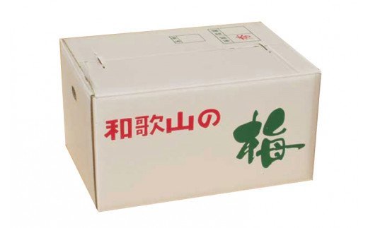 【梅干し・梅酒用】熟南高梅（生梅）4Lサイズ2kg箱＜6月中旬から順次発送＞