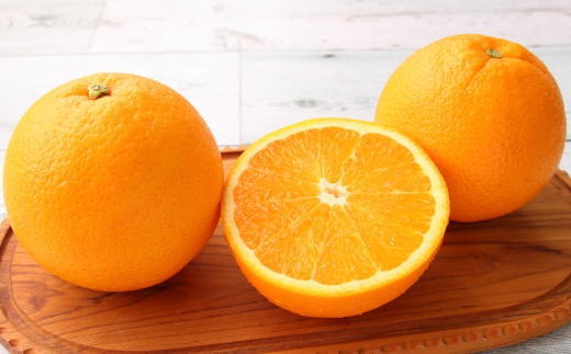 和歌山県有田産バレンシアオレンジ約5kg（サイズおまかせ）※2023年6月下旬～7月下旬ごろ順次発送予定（お届け日指定不可） 
