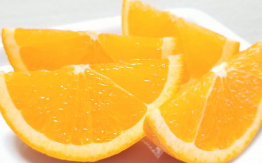 和歌山県有田産バレンシアオレンジ約5kg（サイズおまかせ）※2023年6月下旬〜7月下旬ごろ順次発送予定（お届け日指定不可） 
