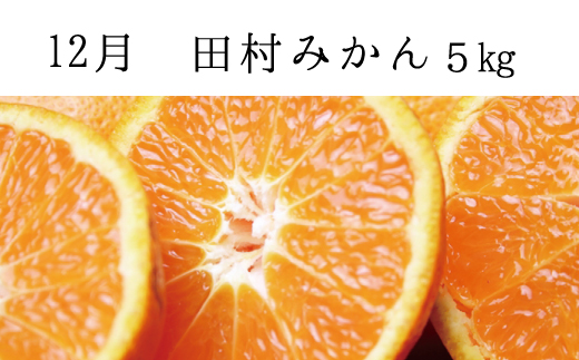 【3か月定期便】【全3回定期便】秋の味覚 果物定期便　柿・みかん　旬のフルーツを毎月お届け♪
