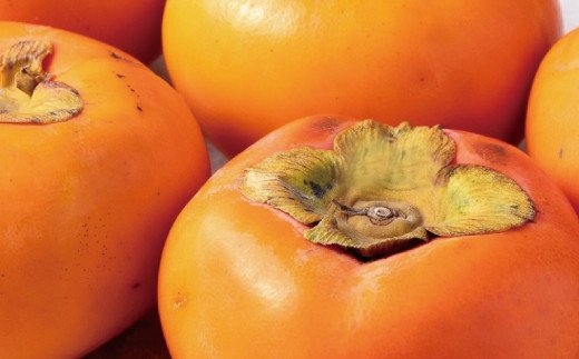 【2023年発送】【秋の味覚】柿の代表格　和歌山の富有柿　約7.5kg【すさみグルメ市場】