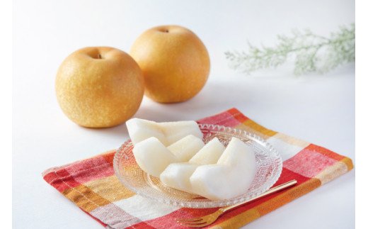 【先行予約受付】和歌山県産の美味しい梨 約4kg （10〜13玉入り）【2023年8月中旬頃から順次発送予定】