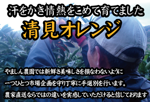 【農家直送】果汁たっぷり！清見オレンジ 約10kg  有機質肥料100%　 サイズ混合　※2024年3月上旬より順次発送予定（お届け日指定不可）