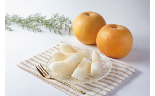 【先行予約受付】和歌山県産の美味しい梨 約4kg （10〜13玉入り）【2023年8月中旬頃から順次発送予定】