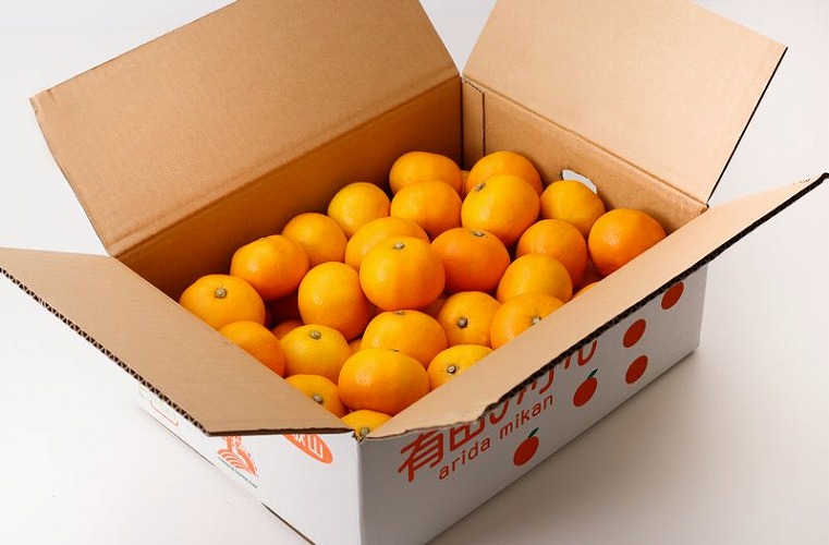 ＼ もぎたて新鮮！／ 有田みかん 約10kg（箱込み） 生産者直送 先行予約 【11月上旬〜1月上旬に発送（日付指定不可）】 サイズ混合 みかん ミカン 和歌山 柑橘 フルーツ 産地直送 農家直送