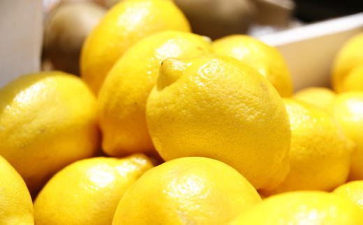 【産直】和歌山産レモン約3kg（サイズ混合）　※2024年3月中旬〜5月下旬頃に順次発送