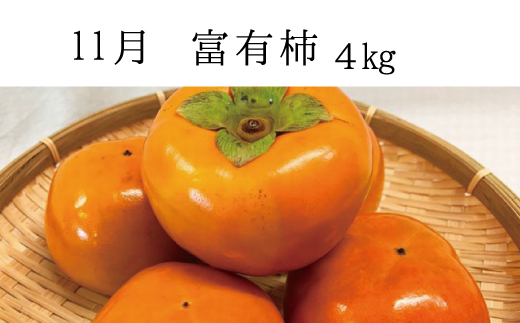 【3か月定期便】【全3回定期便】秋の味覚 果物定期便　柿・みかん　旬のフルーツを毎月お届け♪