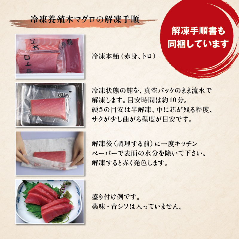 本マグロ（養殖）トロ＆赤身セット 240g 【5月発送】まぐろ 刺身 鮪 本