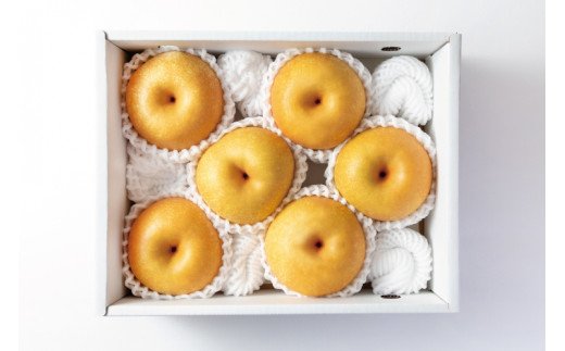【先行予約受付】和歌山県産の美味しい梨 約2kg （6〜8玉入り）【2023年8月中旬頃から順次発送予定】