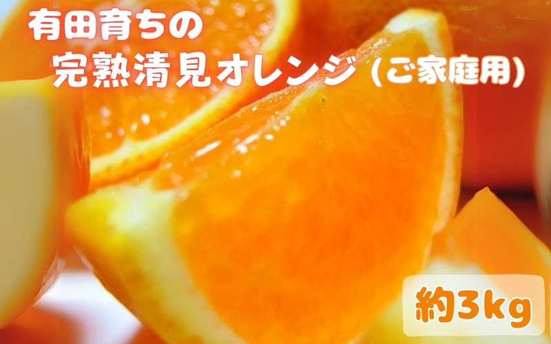 【2023年3月上旬〜発送】有田育ちの清見オレンジ(ご家庭用)　約3kg　※3月上旬〜3月下旬順次発送予定