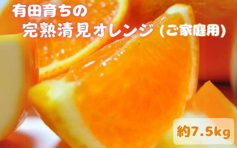 【2023年3月上旬〜発送】有田育ちの清見オレンジ(ご家庭用)　約7.5kg　※3月上旬〜3月下旬順次発送予定