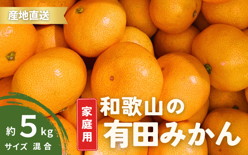 【1月発送】家庭用 有田みかん 和歌山  S～Lサイズ大きさお任せ 5kg / みかん フルーツ 果物 くだもの 有田みかん 蜜柑 柑橘【ktn007A-1】