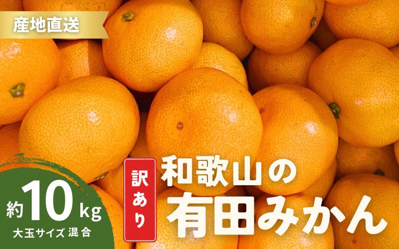 家庭用 訳あり 有田みかん 和歌山  大玉(2L,3Lサイズ混合) 10kg【10月上旬～1月下旬頃に順次発送】/ みかん フルーツ 果物 くだもの 有田みかん 蜜柑 柑橘【ktn012A】