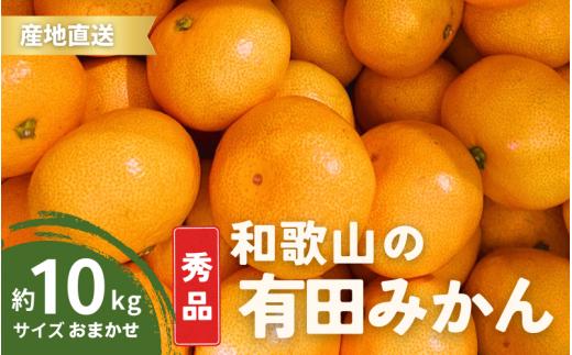 【10月発送】秀品 有田みかん 和歌山県産  S～Lサイズ 大きさお任せ 10kg / みかん フルーツ 果物 くだもの 有田みかん 蜜柑 柑橘【ktn003-10】