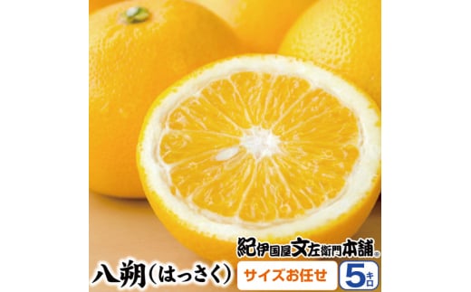 八朔(はっさく)約5kg サイズおまかせ　紀伊国屋文左衛門本舗※2025年1月下旬～4月上旬頃発送予定【sutb410A】