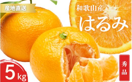 【先行予約】秀品 はるみ 和歌山 有田 S～2Lサイズ 大きさお任せ 5kg【2025年1月下旬～3月下旬までに順次発送予定】/ みかん フルーツ 果物 くだもの 蜜柑 柑橘【ktn045】