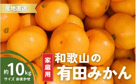 【10月発送】家庭用  有田みかん 和歌山  S～Lサイズ 大きさお任せ 10kg / みかん フルーツ 果物 くだもの 有田みかん 蜜柑 柑橘【ktn008A-10】