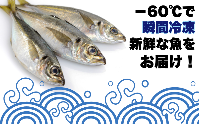 【何が届くかお楽しみ】和歌山県すさみ産 まるっと鮮魚便【3～4匹】/ 魚介 海鮮 海の幸 魚料理 冷凍 まるごと 新鮮 刺身 和歌山 すさみ町 大容量 【scp122】