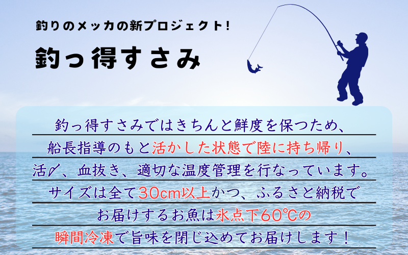 【何が届くかお楽しみ】和歌山県すさみ産 まるっと鮮魚便【3～4匹】/ 魚介 海鮮 海の幸 魚料理 冷凍 まるごと 新鮮 刺身 和歌山 すさみ町 大容量 【scp122】