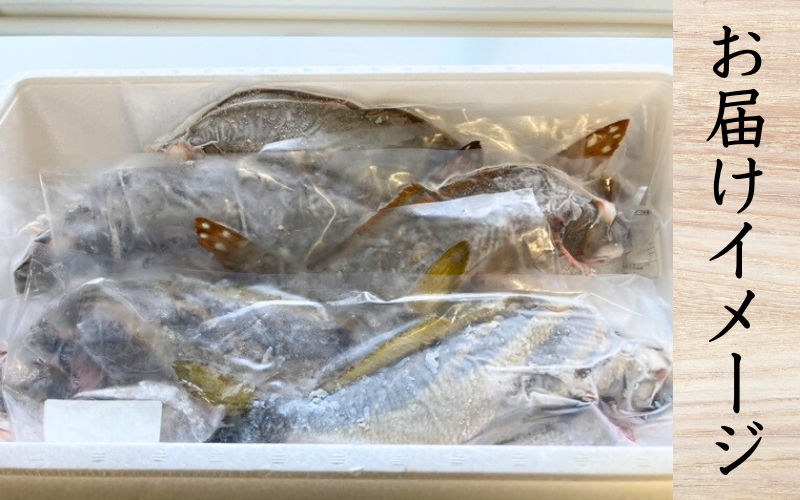 【何が届くかお楽しみ】和歌山県すさみ産 まるっと鮮魚便【3～4匹】/ 魚介 海鮮 海の幸 魚料理 冷凍 まるごと 新鮮 刺身 和歌山 すさみ町 大容量 【scp122】