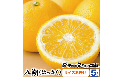 八朔(はっさく)約5kg サイズおまかせ　紀伊国屋文左衛門本舗※2025年1月下旬～4月上旬頃発送予定【sutb410A】