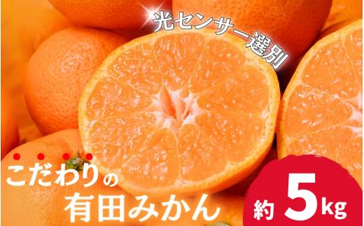 【2024年12月発送予約分】【農家直送】【家庭用】こだわりの有田みかん 約5kg＋250g(傷み補償分) 有機質肥料100% サイズ混合 ※北海道・沖縄・離島配送不可/みかん ミカン 有田みかん 温州みかん 柑橘 有田 和歌山【nuk160-2A】