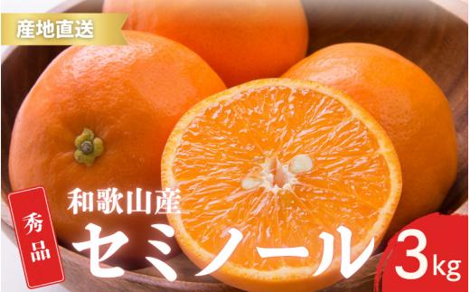 【先行予約】秀品 セミノール 和歌山 有田 S～2Lサイズ 大きさお任せ 3kg【4月下旬～5月下旬頃に順次発送予定】/ みかん フルーツ 果物 くだもの 蜜柑 柑橘【ktn024】