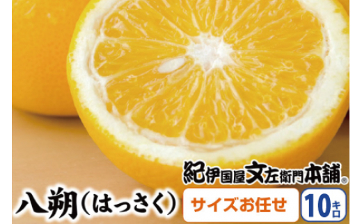 八朔(はっさく)約10kg サイズおまかせ　紀伊国屋文左衛門本舗※2025年1月下旬～4月上旬頃発送予定【sutb411A】