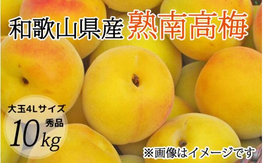 【梅干・梅酒用】大玉4Lサイズ10Kg熟南高梅 赤秀品＜2025年6月上旬～7月上旬ごろに順次発送予定＞/ 梅 梅干し ウメ 青梅 生梅 梅シロップ うめ 梅酒 和歌山 南高梅 フルーツ 果物 くだもの 食品 人気 おすすめ 送料無料【art022】