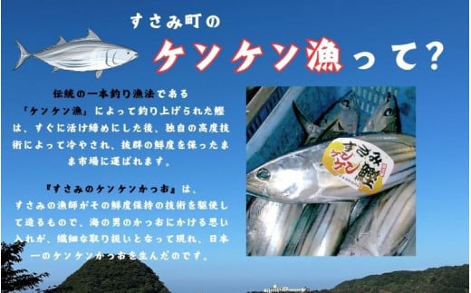 すさみの熟成ケンケン鰹のたたき　約500g/カツオ かつお タタキ 和歌山 すさみ町 冷凍 新鮮【gyg135A】