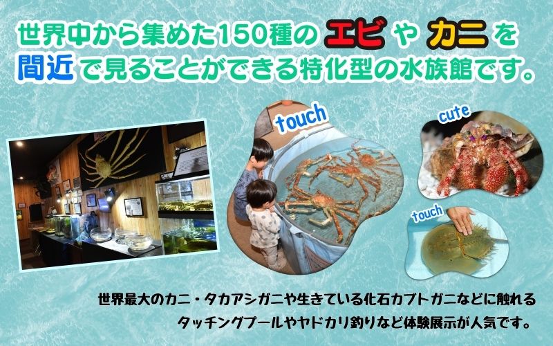 ＼たくさんの生物と触れ合える♪／　エビとカニの水族館 10名様チケット　