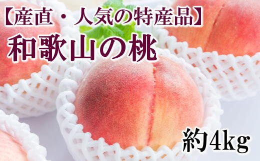 【産直・人気の特産品】和歌山の桃 約4kg 秀品 ※2025年6月下旬～8月上旬頃順次発送 / もも モモ フルーツ 果物 くだもの 人気 甘い 和歌山 おすすめ 桃 【tec911A】