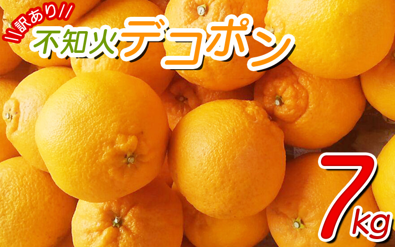 【数量限定】ちょこっと訳あり 不知火 デコポン 約7kg【ご家庭用】※2025年2月中旬～4月中旬に発送予定（お届け日指定不可）/ 不知火 デコポン 柑橘 みかん 果物 くだもの フルーツ みかん 有田みかん ミカン 【nuk120B】